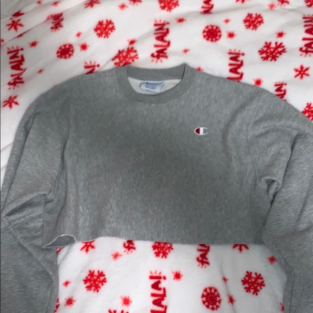 Cropped champion hoodie